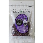 美人をつくる大豆生活 ブルーベリー黒豆