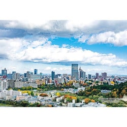 300-451 シリーズ・日本の都市55 宮城県仙台市「秋の仙台市全景」 [ジグソーパズル 300ピース]