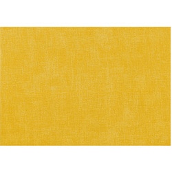 Guzzini（グッチーニ） プレイスマット FABRIC アンバー 3Pセット 226091-151