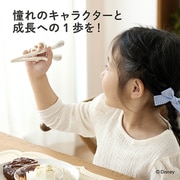エジソンのお箸 KID'S ディズニープリンセス ジャスミン リッチ KJ1030398
