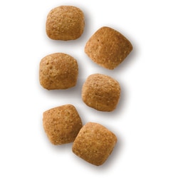 ヨドバシ.com - ROYAL CANIN ロイヤルカナン ロイヤルカナン 猫