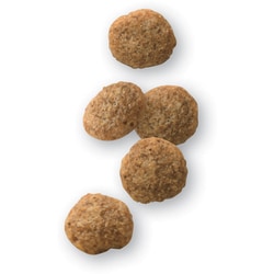 ヨドバシ.com - ROYAL CANIN ロイヤルカナン ロイヤルカナン 犬 ヨドバシ.com - ROYAL CANIN ロイヤルカナン ロイヤルカナン 犬