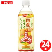 三ツ矢こだわりの国産ミックスジューソーダ PET 500ml×24本