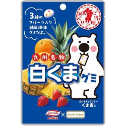 【レビューで送料無料】 ヨドバシ.com 通販【全品無料配達】 白くまグミ ノースカラーズ - 菓子
