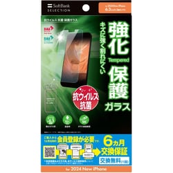 SB-I020-PFGA/KV [iPhone 16 Pro 用 抗ウイルス 抗菌 保護ガラス クリア]