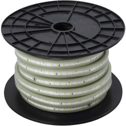 ハタヤ LEDテープライト LEDテープライト 蓄光片面 単体 GLTP20