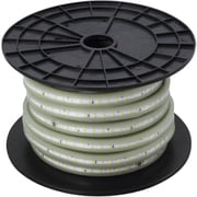 ハタヤ LEDテープライト LEDテープライト 蓄光両面 単体 GLTP20D