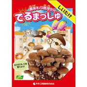 菌床キノコ栽培セット でるまっしゅ しいたけ