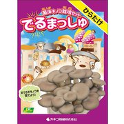 菌床キノコ栽培セット でるまっしゅ ひらたけ