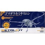 【バーゲンブック】増補改訂版 ゴマダラカミキリムシ [ムックその他]
