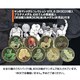 キン肉マン メダルコレクション VOL.6 プラチナメダル 20個入BOX ケース付き 初回購入特典 KIN（金）肉メダル（非売品）付き 幻の7人の悪魔超人