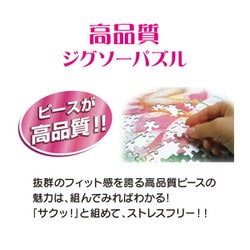 ヨドバシ.com - テンヨー Tenyo DG315-121 ディズニー Daichi
