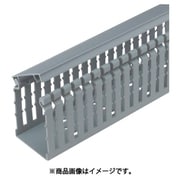 HN4X4LG6 [PANDUIT ヒンジタイプ配線ダクト（ナロータイプ） ライトグレー 6FT（フィート） 1本]