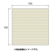 HT444 [アルゴファイル フイルムベースダイヤモンドシート#600 100X100]