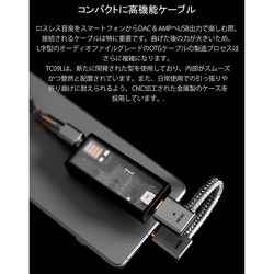 ヨドバシ.com - ディーディーハイファイ DD HiFi USB-C to USB-C