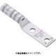 LCCX2-14B-E [PANDUIT 銅製圧縮端子 2穴 電線サイズ AWG2 取付穴サイズ 69mm 取付穴間隔 191mm]
