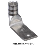 LCDX2/0-14BF-X [PANDUIT 銅製圧縮端子 2穴 電線サイズ AWG2/0 取付穴サイズ 69mm 取付穴間隔 191mm バレル角度 90度]
