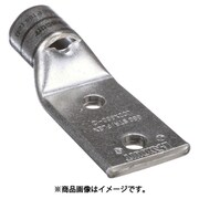 LCDX650-12-6 [PANDUIT 銅製圧縮端子 2穴 電線サイズ 650 kcmil 取付穴サイズ 135mm 取付穴間隔 445mm]