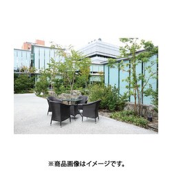 ヨドバシ.com - コンドル YB-161L-PE [コンドル 屋外用 ラタン製 G 