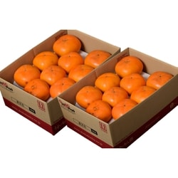 新潟県産『おけさ柿』計6kg/約3kg×2箱（※常温）