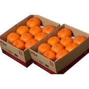 新潟県産『おけさ柿』計6kg/約3kg×2箱（※常温）