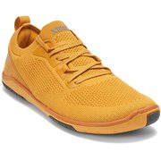 W's ネクサスニット NEXM-GOLD ゴールド W6.5(23.5cm) [フィットネスシューズ レディース]