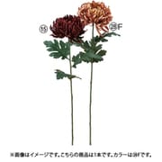 A-34958 028F [マム ブラウンゴールド]