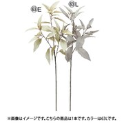 ユーカリスプレー ライトグレイ A-44503 063L
