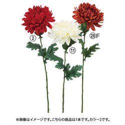 マム レッド A-73436 002
