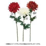 A-73436 002 [マム レッド]