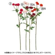 ポンポンマムX5 ワイン A-73438 015A