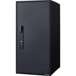 CTN6250RB [宅配ボックス e-COMBO LIGHT（イーコンボライト） ラージタイプ マットブラック]