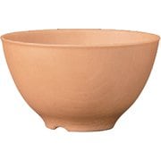 NH home 木目飯椀 M クリーンコート加工 ナチュラル 480ml 日本製 電子レンジ・食洗機可 797112