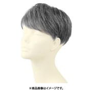 GB-22-TDGH [ウィッグ TDGH/耐熱ダークグレイヘ]