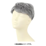 GB-22-TGH [ウィッグ TGH/耐熱グレイヘア プリシラ]