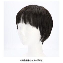 A-676 [ウィッグ TBK.耐熱ブラック プリシラ]