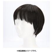 A-676 [ウィッグ TBK.耐熱ブラック プリシラ]