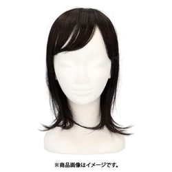 GB-01 [ウィッグ TBK.耐熱ブラック プリシラ]
