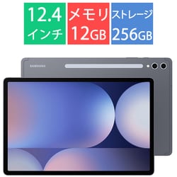 Galaxy Tab S10＋/12.4型/メモリ 12GB/ストレージ 256GB/Android 14/ムーンストーングレー SM-X820NZAAXJP
