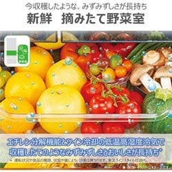 dショッピング |東芝 TOSHIBA 冷蔵庫 5ドア 幅60cm 465L VEGETA(ベジータ)GSKシリーズ サテンゴールド  GR-W470GSK-EC（標準設置無料） | カテゴリ：の販売できる商品 | コジマ (0494904530129537)|ドコモの通販サイト