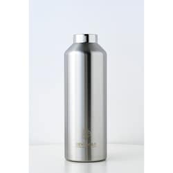 REVOMAX WITHOUT CAP 32oz 0.95L ギャラクシーシルバー DWF32101BJPCL
