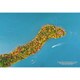 300-413 シリーズ・日本の都市57 栃木県日光市「中禅寺湖 紅葉の八丁出島」 [ジグソーパズル 300ピース]