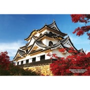 300-416 シリーズ・日本の都市60 滋賀県彦根市「国宝 彦根城の秋」 [ジグソーパズル 300ピース]