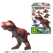 生物探検隊～恐竜編～ 1個 [コレクション食玩]