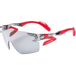 AF-302 C-1WP クリアーグレー(Polarized GrayWP) [スポーツサングラス]