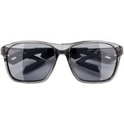 AF-402 C-2TG Clear Ash(Photochromic Gray) [スポーツサングラス]