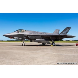 TPA-50 1/72 航空自衛隊 F-35A ライトニングII 第302飛行隊 50周年記念塗装機 [組立式プラスチックモデル]