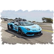 EML030H 1/18 ランボルギーニ アヴェンタドール SVJ 63 Roadster 2019 ブルーセフェウス [レジンキャストミニカー]