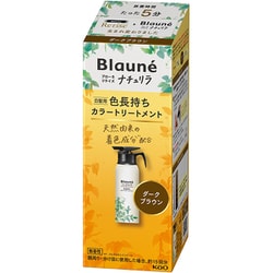 ブローネ ナチュリラ カラートリートメント ダークブラウン 本体 155g [カラートリートメント]