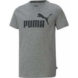 588982 [ESS ロゴ Tシャツ 03 MEDIUM GRAY H 140]